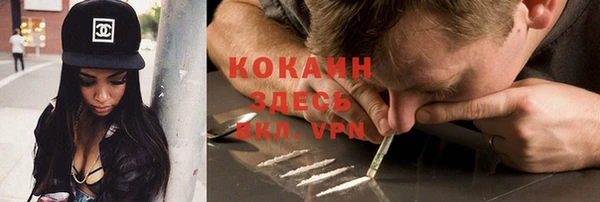 PSILOCYBIN Кинешма