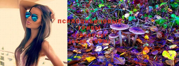 прущий лед Киренск
